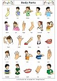 Amazon.in: Buy Parts of Body Chart ( 70 x 100 cm ) Book Online at Low