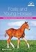 Foals and Young Horses: Training and Management for a Well-Behaved Horse (Horse Riding and Managemen by