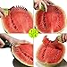 Watermelon Slicer and Server - Premium Quality Watermelon Cutter or Cantaloupe Cutter with Stainless Steel Blades and Safe Silicone Grip - Easy Slicing, Lifting and Serving - Ideal Gift As Seen on TV