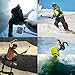 ProsPole Extendable Pole an Aluminium Telescopic Monopod Extension & Adjustable Selfie Stick for Gopro Hero 4 Session Black Silver Hero 2 3 3+ 4 and Other Action Cameras (Blue - 20.5