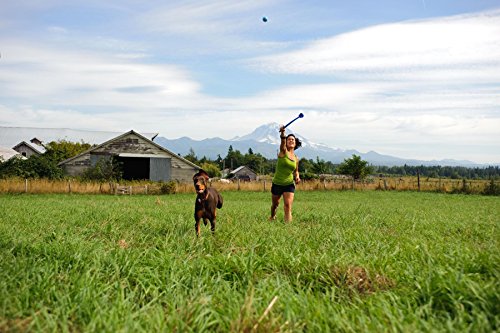 Chuckit! The Whistler 2-Pack, Medium