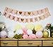 Princess Baby Shower Decorations for Girl Pink and Gold Baby Shower It's A Girl Banner Tissue Pom Poms Paper Lanterns Honeycomb Balls Pink/White/Gold/Cream Baby Shower Party Decoration Nursery Decor