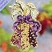Indian Corn Beaded Counted Cross Stitch Ornament Kit Mill Hill 2011 Autumn Harvest MH18-1202