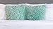 Chanasya Soft Shaggy Fuzzy Mangolian Faux Fur Cozy Elegant Chic Decorative Aqua Blue Throw Pillow Cover Pillow Sham- Turquoise Teal 2-Pack Throw Pillowcase 18x18 Inches (Pillow Insert Not Included)