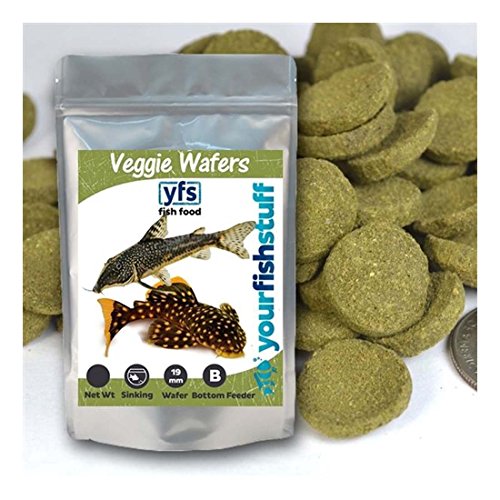 Buy Spirulina Veggie Algae Wafers Pleco Catfish Tropical Bulk Fish Food