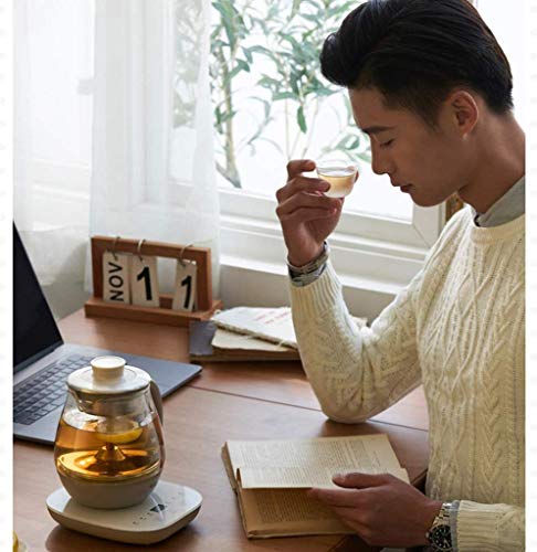 WSJTT tè e caffè Pot Domestica Vapore Teiera Kung Fu Tea ebollizione Acqua Potabile Teiera Completamente la Preparazione… - immagine 4