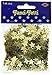 Fanci-Fetti Stars (gold) Party Accessory  (1 count) (1 Oz/Pkg)