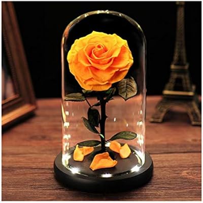 وردة حريرية حمراء من دريم أوف فلاورز بيوتي آند ذا بيست في قبة زجاجية بتلات ساقطة وقاعدة خشبية في قبة زجاجية أفضل هدية لها في عيد الحب Amazon Ae