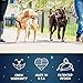 2 Hounds Design Freedom No Pull Dog Harness, Adjustable Harness and Leash Set, Easy Walking & Comfortable Control, Fits Small, Medium & Large Dogs, Solid Colors, Made in USA, 1