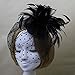 Black Feather Fabric Flower Net Fascinator Hair Clip and Cocktail Hat