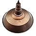 LNC Pendant Lighting for Kitchen Island Farmhouse Bran Hanging Fixtures with Rustic Finish Fit in Bedroom, Foyer, Hallway, 10.2”W*7”H, A0190702, Brown