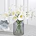 Luyue 20 Pcs White Fake Calla Lily Artificial Flowers Bridal Wedding Bouquet Latex Real Touch Flower Home Kitchen Office Decor