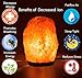 HemingWeigh Natural Himalayan Salt Lamp Hand Carved with Genuine Wood Base, Bulb and On and Off Switch 6 to 8 Inch