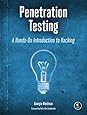 Penetration Testing: A Hands-On Introduction to Hacking