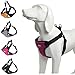 BINGPET No Pull Dog Harness Adjustable Soft Vest Reflective for Outdoor Walking, Pink Large