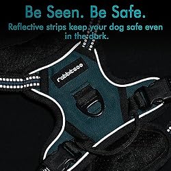 rabbitgoo Dog Harness, No-Pull Pet Harness with 2