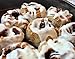 Clean Keto Cinnamon Roll Mix by California Country Gal | Low Carb | Paleo | 100% Grain Free | Gluten Free | Lectin Free | No Added Sugars or Starchy Flours | 10.1 oz