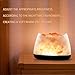 SKYFIELD Himalayan Salt Lamp Adjustable Brightness Smooth Calming Lamp, Packed Gift Ready, Best Gift for Mom