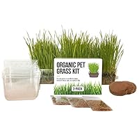 Cat Grass Growing Kit - 3 Pack Organic Seed, Soil and BPA Free containers (Non GMO). All of Our Seed is Locally sourced for pet and pet Lovers.