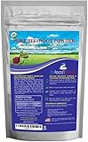 Zen Principle Organic Beetroot Powder. USDA Certified Organic.