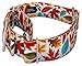 Country Brook Petz - HossFit Jr Wide Martingale Dog Collar - Awesome Autumn Collection Featuring Designs You Will Fall for (Brisk Autumn, Large)