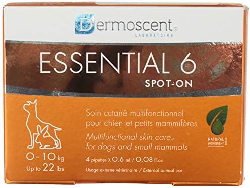 plastic dog kennel sizes