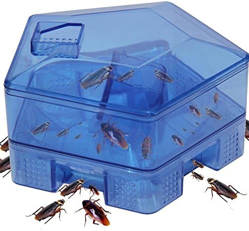 DZQA Handy Insect Killer Traps (Multicolour)