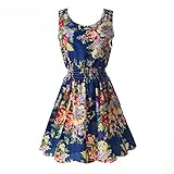Daxin Women's Floral Chiffon Sleeveless Sundress Summer Tank Mini Dress S-XL