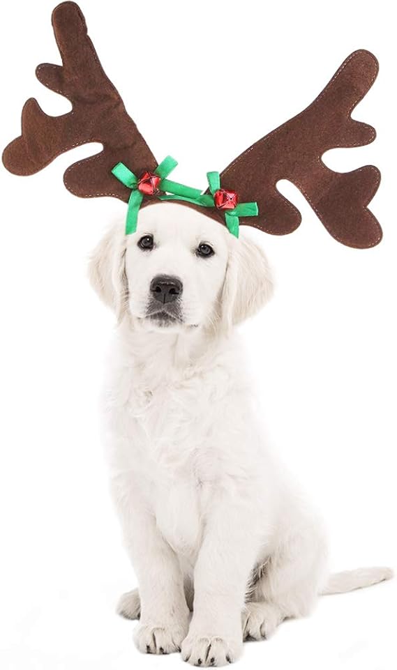 Reindeer headband for dogs Clearance