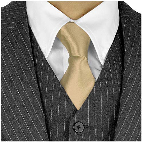 Moda Di Raza Men's Necktie 3 inch Satin Silk Finish Polyester Men Fashion Ties - Champagne Without Box Ties