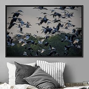 signwin Framed Canvas Wall Art Flying Together Birds...