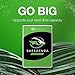 Seagate BarraCuda 3TB Internal Hard Drive HDD – 3.5 Inch SATA 6Gb/s 5400 RPM 256MB Cache for Computer Desktop PC – Frustration Free Packaging (ST3000DM007)