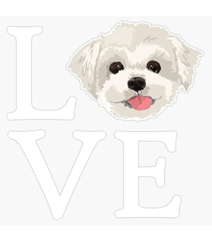 Cute Maltipoo Puppy Vinyl Sticker Decal - 5 Inch Outdoor Rated, Waterproof & UV Resistant For Cars, Laptops, Windows