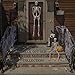 SCS Direct Halloween Lizard Skeletons Set of 2-15