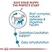 Royal Canin Size Health Nutrition Small Starter Mother & Babydog Dry Dog Food, 2 lb bag