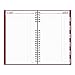 Brownline 2020 CoilPro Daily Planner, Hard Cover, Red, 13.5 x 7.875 Inches (C551C.Red-20)