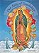 Our Lady of Guadalupe