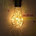 DORESshop LED A19 Filament String Light Bulbs, 15W Incandescent Equivalent, E26 Base Decorative Antique Filament LED Starry Fairy Light, Indoor Hanging Lights for Christmas Festival, Warm White, 2Pack