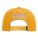 NFL Youth Boys 8-20 Magna Flatbrim Snapback
