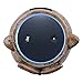 ANTS Speaker Stand Case Compatible Amazon Echo Dot (2nd or 1st Generation). Alexa Echo Dots Owl Statue Crafted Guard Station （Brown）