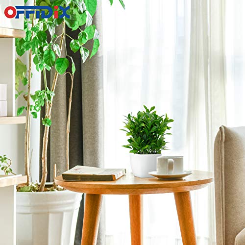 OFFIDIX Artificial Eucalyptus Plants with White Square Vase Small Artificial Tree for Office Desktop Decor Fake Plants for Home and Office Indoor Decorations - Thumbnail 3