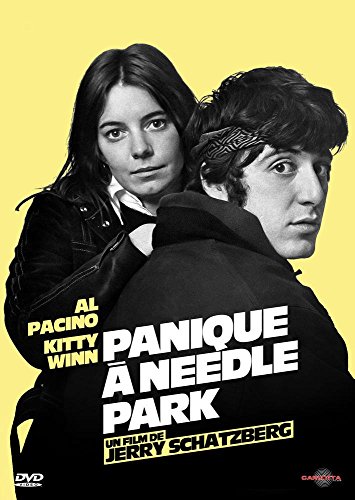 Panique À Needle Park