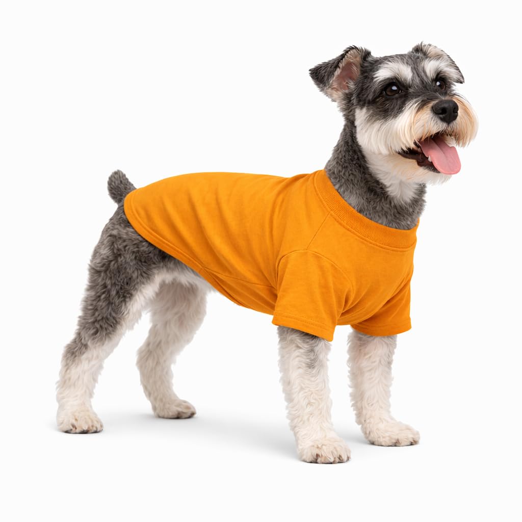 Lovelonglong Pet Clothing Dog Costumes Basic Blank T-Shirt Tee Shirts for Medium Small Dogs Orange XL