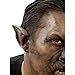 CINEMA SECRETS Woochie Classic Latex Ears - Professional Quality Halloween Costume Makeup - Wolf