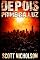 Livro Premeira luz (Depois Livro 0)