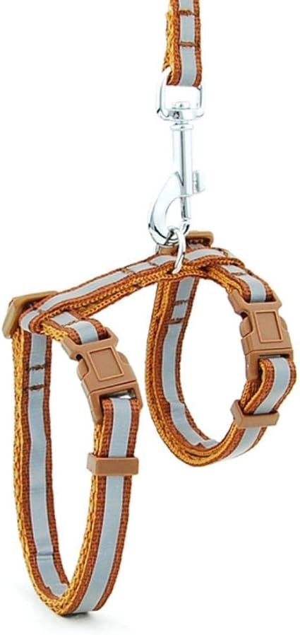 RANJN Gato Collar para Perro Arnés Correa Correa de Nylon ...
