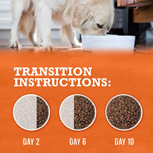 Purina Beyond Natural, High Protein Small Breed Dry Dog Food, Simply