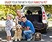 Doggie World Dog Car Seat Cover for Back Seat for XL Cars, SUVs & Trucks - Durable Car Cover Protector for Dogs, Nonslip Backseat Dog Hammock, Waterproof Scratchproof Protection Against Dirt, Pet Fur