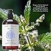 Laritelle Organic Unscented Shampoo Herbal Magic | Hair Loss Prevention, Clarifying & Strengthening | Rosemary & Saw Palmetto | NO GMO, Sulfates, Gluten, Alcohol, Parabens, Phthalates | Hypoallergenic
