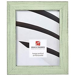 Craig Frames Jasper Picture Frame, 18 x 24